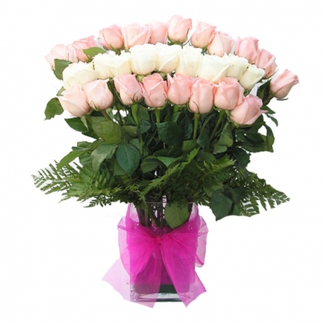 Florero con 24 Rosas Blancas y Rosa