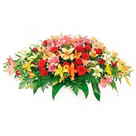 Cojín de Condolencias 24 Rosas Rojas y 20 Varas de Liliums Multicolores
