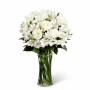 Florero Condolencias con 8 Rosas Blancas