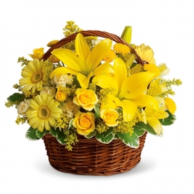 Canastillo de Liliums y 12 Rosas Amarillas