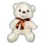 Oso de Peluche de 25 cm