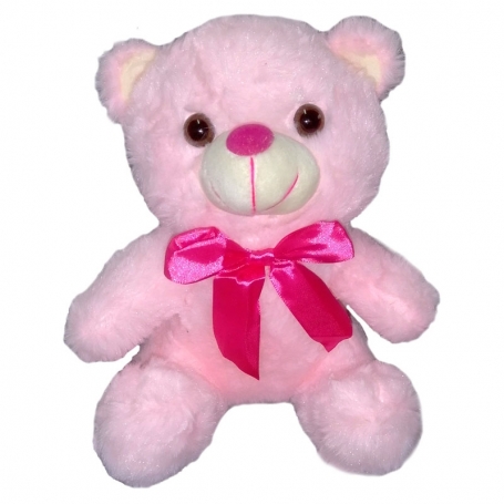 Oso de Peluche de 25 cm