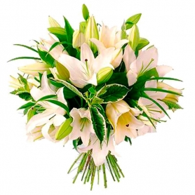 Ramos de Condolencias Flores Liliums Blancos