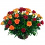 Canastillo Mediano de 24 Rosas Color Circus y Rojas