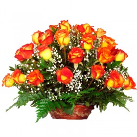 Canastillo Mediano de 24 Rosas Circus Canastillo Mediano de 24 Rosas Circus