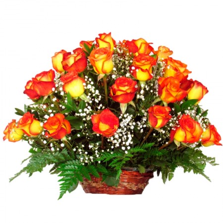 Canastillo Mediano de 24 Rosas Circus