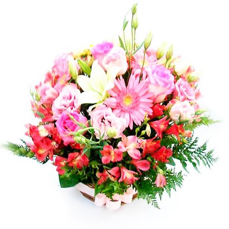 Flores Para Nacimiento Flores Rosas