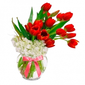 Florero Con 20 Tulipanes Color rojos + Hortensias