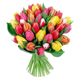 Ramo de Flores con 50 Tulipanes Mix de Colores