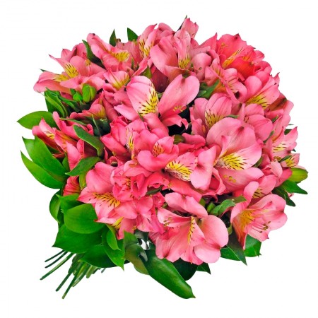 Ramo de 40 Astromelias Color Rosadas