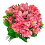 Ramo de 40 Astromelias Color Rosadas