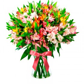 Florero 40 Astromelias Multicolores Florero 40 Astromelias Multicolores