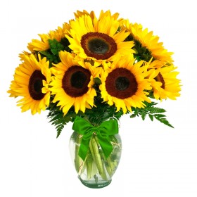 Florero Con 10 Girasoles más mix Florero Con 10 Girasoles más mix