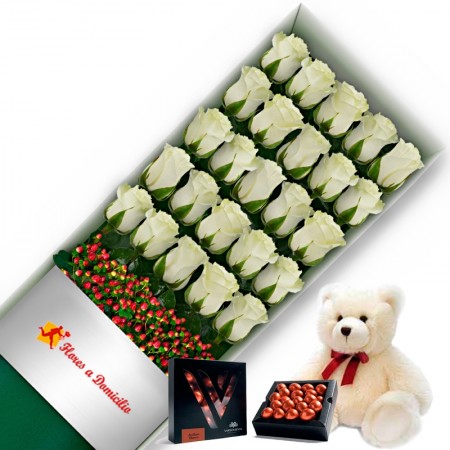OFERTA CAJA DE 24 ROSAS BLANCAS MAS PELUCHE Y CHOCOLATE GRAGEA