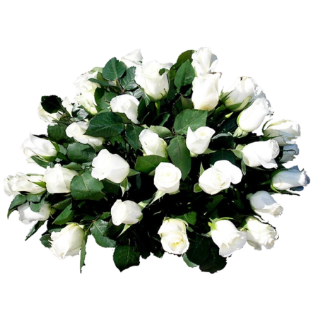 Ovalo de Condolencias de 25 Rosas Blancas