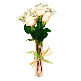 Condolencias Presencia 3 Rosas Blancas en Florero Condolencias Presencia 3 Rosas Blancas en Florero