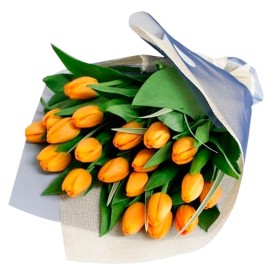 Ramo con 20 Tulipanes Color Damasco Ramo con 20 Tulipanes Color Damasco