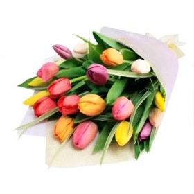 Ramo con 20 Tulipanes Colores Mix Ramo con 20 Tulipanes Colores Mix