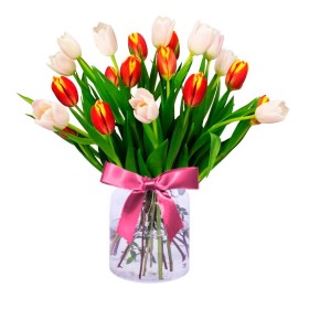 Florero con 20 Tulipanes Naranjas y Blancos Florero con 20 Tulipanes Naranjas y Blancos