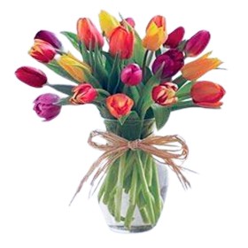 Florero Con 20 Tulipanes Mix Colores Florero Con 20 Tulipanes Mix Colores