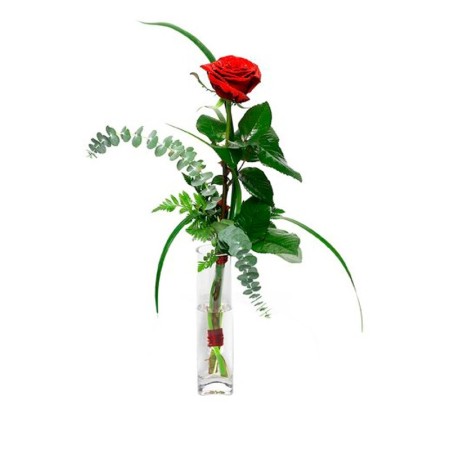 Florero 1 Rosa Roja