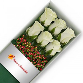 CAJA DE 6 ROSAS BLANCAS CAJA 6 ROSAS BLANCAS
