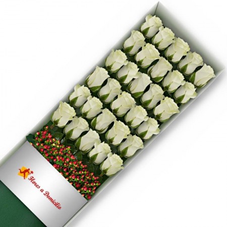 CAJA 30 ROSAS BLANCAS