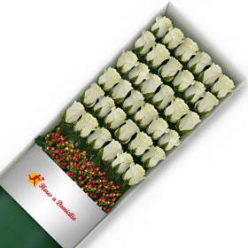 CAJA 36 ROSAS BLANCAS
