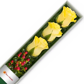 CAJA DE 3 ROSAS AMARILLAS CAJA 3 ROSAS AMARILLAS
