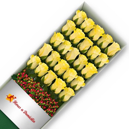 CAJA 25 ROSAS AMARILLAS