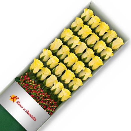 CAJA DE 30 ROSAS AMARILLAS