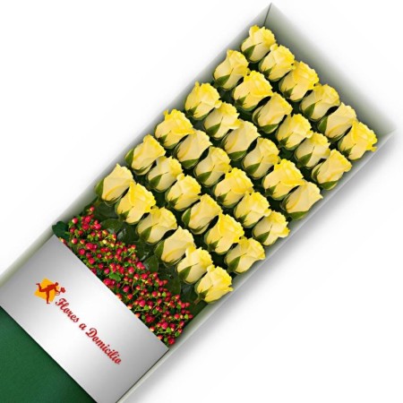 CAJA 36 ROSAS AMARILLAS