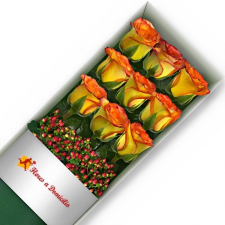 CAJA 9 ROSAS CIRCUS