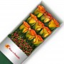 CAJA 9 ROSAS CIRCUS