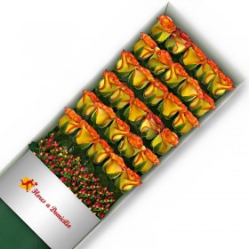 CAJA 30 ROSAS CIRCUS