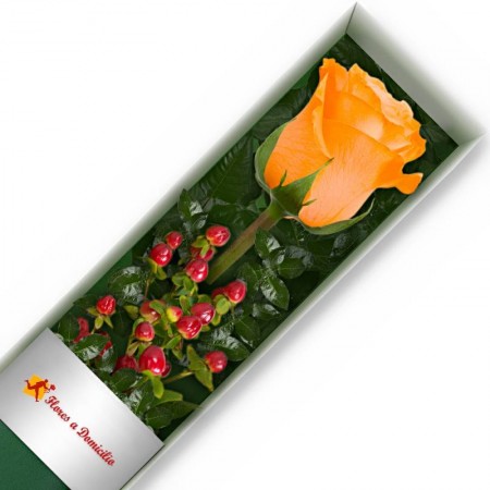 CAJA 3 ROSAS DAMASCO
