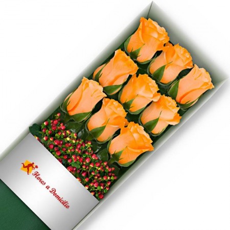 CAJA 9 ROSAS DAMASCO