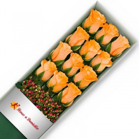 CAJA DE 12 ROSAS DAMASCO CAJA 12 ROSAS DAMASCO