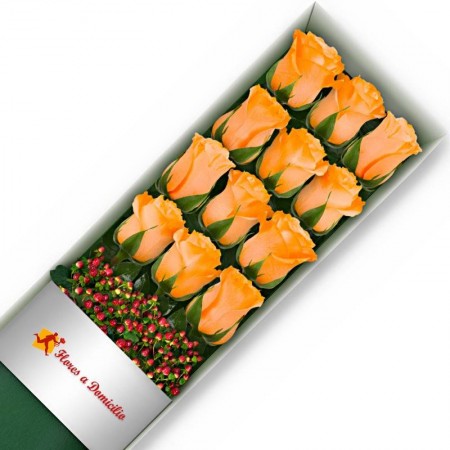 CAJA 12 ROSAS DAMASCO