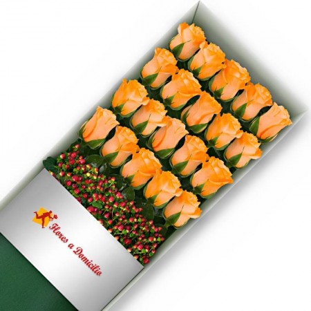 CAJA 20 ROSAS DAMASCO