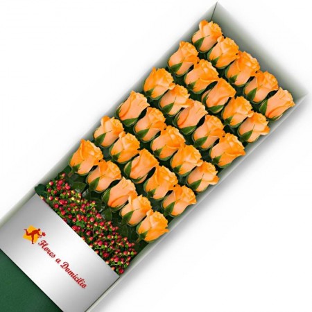 CAJA 30 ROSAS DAMASCO