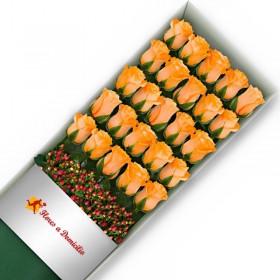 CAJA 24 ROSAS DAMASCO