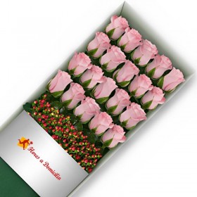 CAJA 20 ROSAS ROSADAS