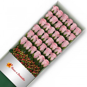 CAJA 36 ROSAS ROSADAS