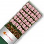 CAJA 36 ROSAS ROSADAS