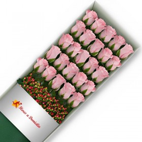 CAJA 24 ROSAS ROSADAS