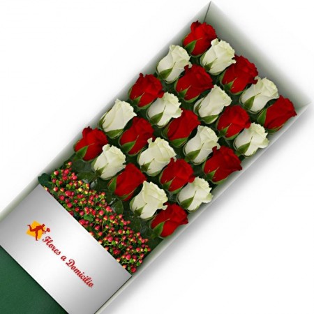 CAJA DE 24 ROSAS ROJAS Y BLANCAS