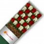 CAJA DE 24 ROSAS ROJAS Y BLANCAS