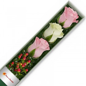 CAJA DE 3 ROSAS ROSADAS Y BLANCA CAJA DE 3 ROSAS ROSADAS Y BLANCA