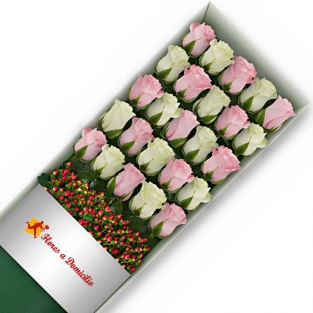 CAJA DE 24 ROSAS ROSADAS Y BLANCAS